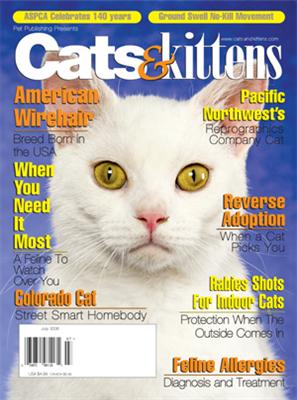 Cats & Kittens